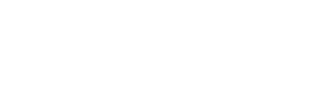 Journalism Skills Academy